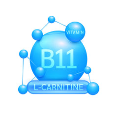 Custom GLP-1 Peptides with added Vitamin B11 and L-Carnitine molecular structure illustration