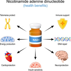 Custom GLP-1 Peptides with NAD+ enhancing insulin sensitivity and multiple health benefits illustration