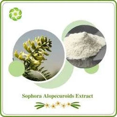 Cytisine Sephorine Nicotine alternative smoking cessation patch with Sophora Alopecuroids Extract and hemp seed powder